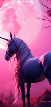 Horse Sky Liver Live Wallpaper
