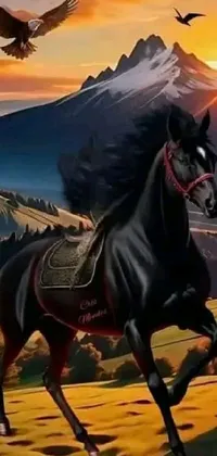 Horse Sky Vertebrate Live Wallpaper