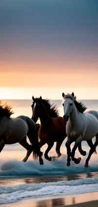 Running deals horse wallpaper