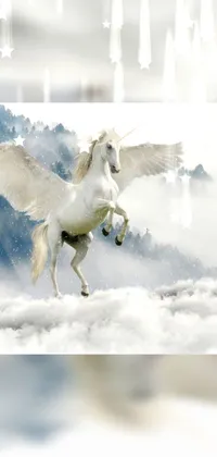Horse Snow Atmospheric Phenomenon Live Wallpaper