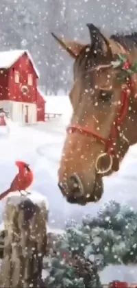 This phone live wallpaper depicts a serene snowy farm landscape with a gorgeous horse and a bright red cardinal perched on a tree branch