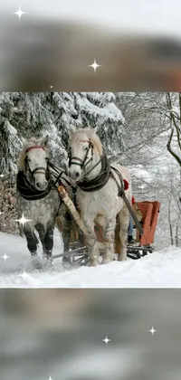 Horse Snow Working Animal Live Wallpaper