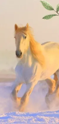 Horse Terrestrial Animal Liver Live Wallpaper