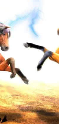 Immerse yourself in the majestic beauty of two horses fighting in a field with this ultra-realistic live wallpaper