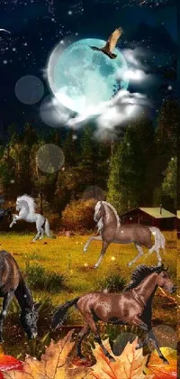 Horse Vertebrate Nature Live Wallpaper