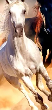 Horse Vertebrate Working Animal Live Wallpaper