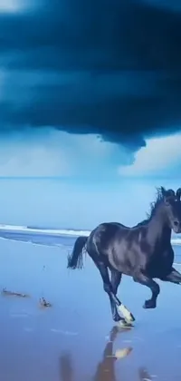 Horse Water Atmosphere Live Wallpaper