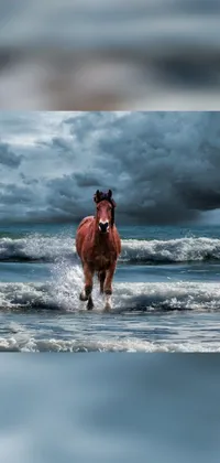This stunning live wallpaper features a magnificent brown horse on a beach next to the ocean