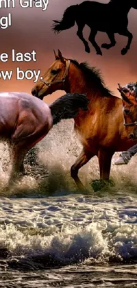 Horse Water Nature Live Wallpaper
