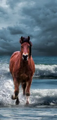 Bring your phone to life with this stunning live wallpaper featuring a majestic horse standing in the water