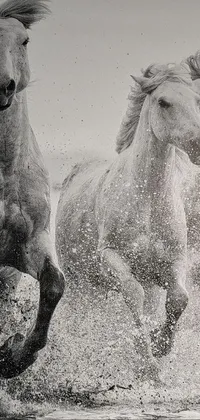 Horse White Terrestrial Animal Live Wallpaper