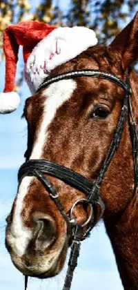 This phone live wallpaper features a close-up shot of a horse, wearing a Santa hat and showcasing its raw power and beauty