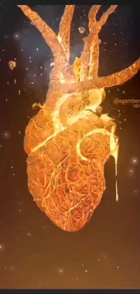 Human Body Amber Heat Live Wallpaper