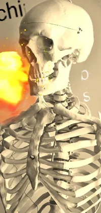 This phone live wallpaper features a breathtaking image of a skeleton against a backdrop of flames