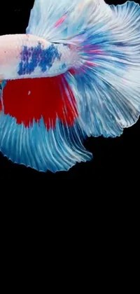Human Body Petal Feather Live Wallpaper