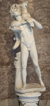 Human Body Statue Sculpture Live Wallpaper