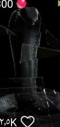 Human Leg Transparent Material Plastic Bottle Live Wallpaper