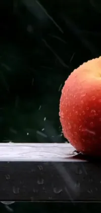 Discover a mesmerizing live wallpaper for your phone featuring a vibrant red apple in hyper-realistic detail