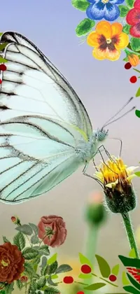 Indoor Invertebrate Butterfly Live Wallpaper