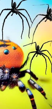 This phone live wallpaper showcases a stunning, waist-up macro shot of a tiny spider crawling on an orange flower