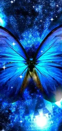 Insect Blue Butterfly Live Wallpaper