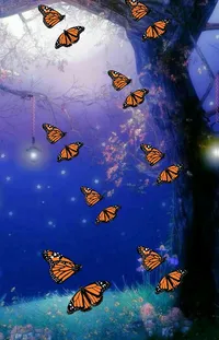 Insect Butterfly Nature Live Wallpaper
