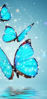 Insect Liquid Butterfly Live Wallpaper