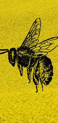 Insect Pollinator Arthropod Live Wallpaper