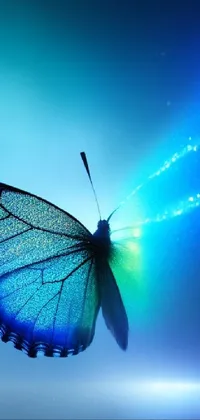 This phone live wallpaper features an ethereal blue butterfly in flight, surrounded by stunning bio-mechanical bio-luminescence and a soft backlight