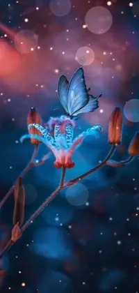 Insect Pollinator Nature Live Wallpaper