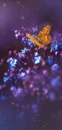 Insect Pollinator Plant Live Wallpaper