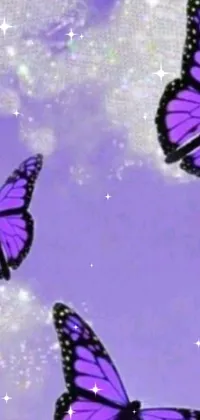 Insect Pollinator Purple Live Wallpaper