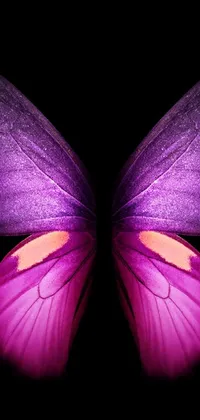 Insect Purple Botany Live Wallpaper