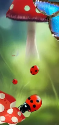 This visually striking phone live wallpaper showcases a stunning digital painting of a ladybug and butterfly resting on a mushroom