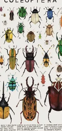 This unique live wallpaper features a colorful group of beetles sitting atop one another, creating an intricate and whimsical pattern