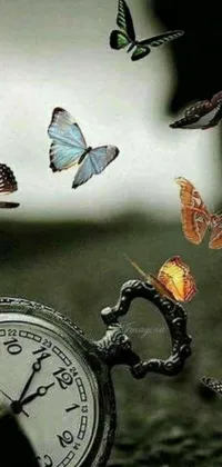 This phone live wallpaper showcases an exquisite close-up of a pocket watch, surrounded by colorful butterflies that gracefully move around it