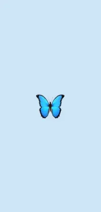 Feast your eyes on this calming, minimalist wallpaper for your phone depicting a tranquil blue butterfly gliding through a clear blue sky