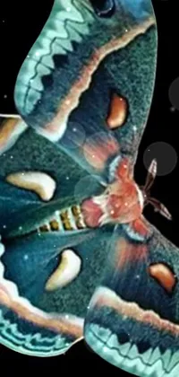 Invertebrate Art Underwater Live Wallpaper