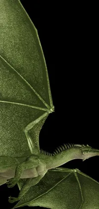 This live wallpaper depicts a close-up of a green dragon with scales and sharp claws, flying against a black background