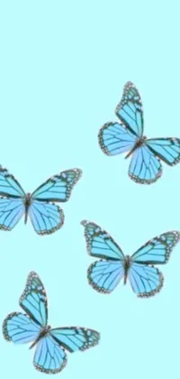 This phone live wallpaper features a beautiful group of blue butterflies resting on a blue surface, creating a calming and serene effect on your screen