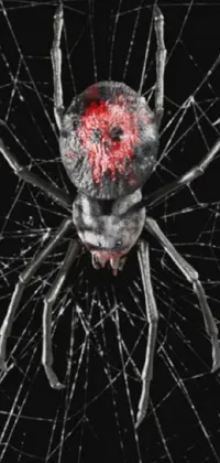 This stunning phone live wallpaper features a digitally designed black widow spider, set against a highly detailed web