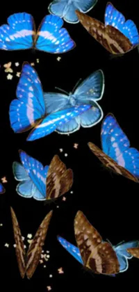 This live wallpaper features a swarm of beautifully rendered blue butterflies flying on a black background