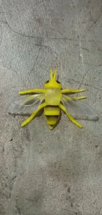 This stunning phone live wallpaper showcases a bright yellow bee perched on a concrete floor, set against a visually captivating background of hurufiyya made of plastic