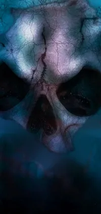This phone live wallpaper showcases a close-up of a skull in the water, rendered with intricate digital art and available on Shutterstock