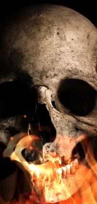 This live phone wallpaper features a frightening skull in high detail on a black backdrop