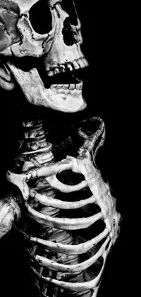This phone live wallpaper showcases a highly detailed and hyperrealistic black and white photograph of a skeleton, set against a dark background