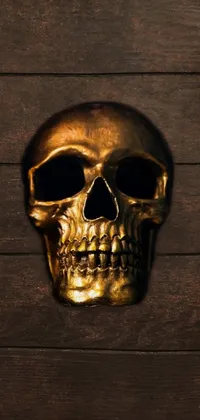 Jaw Bone Skull Live Wallpaper