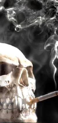 This <a href="/">phone live wallpaper</a> features a realistic photo of a smoking skull symbolizing death and mortality