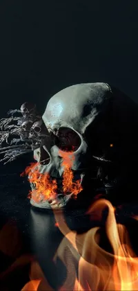 This phone live wallpaper features a photorealistic painting of a skull on a black table