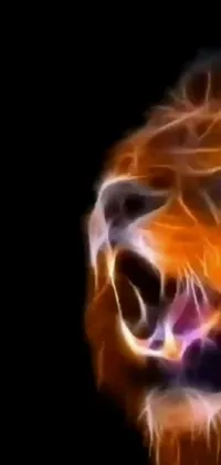 Jaw Fire Flame Live Wallpaper